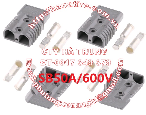 dau noi binh acquy SB50A600V