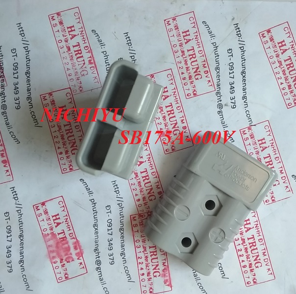 giac sac acquy xe nang NICHIYU sb175A