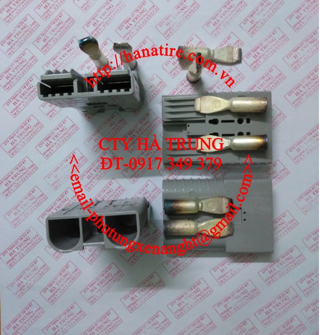 rac sac xe nang tovica